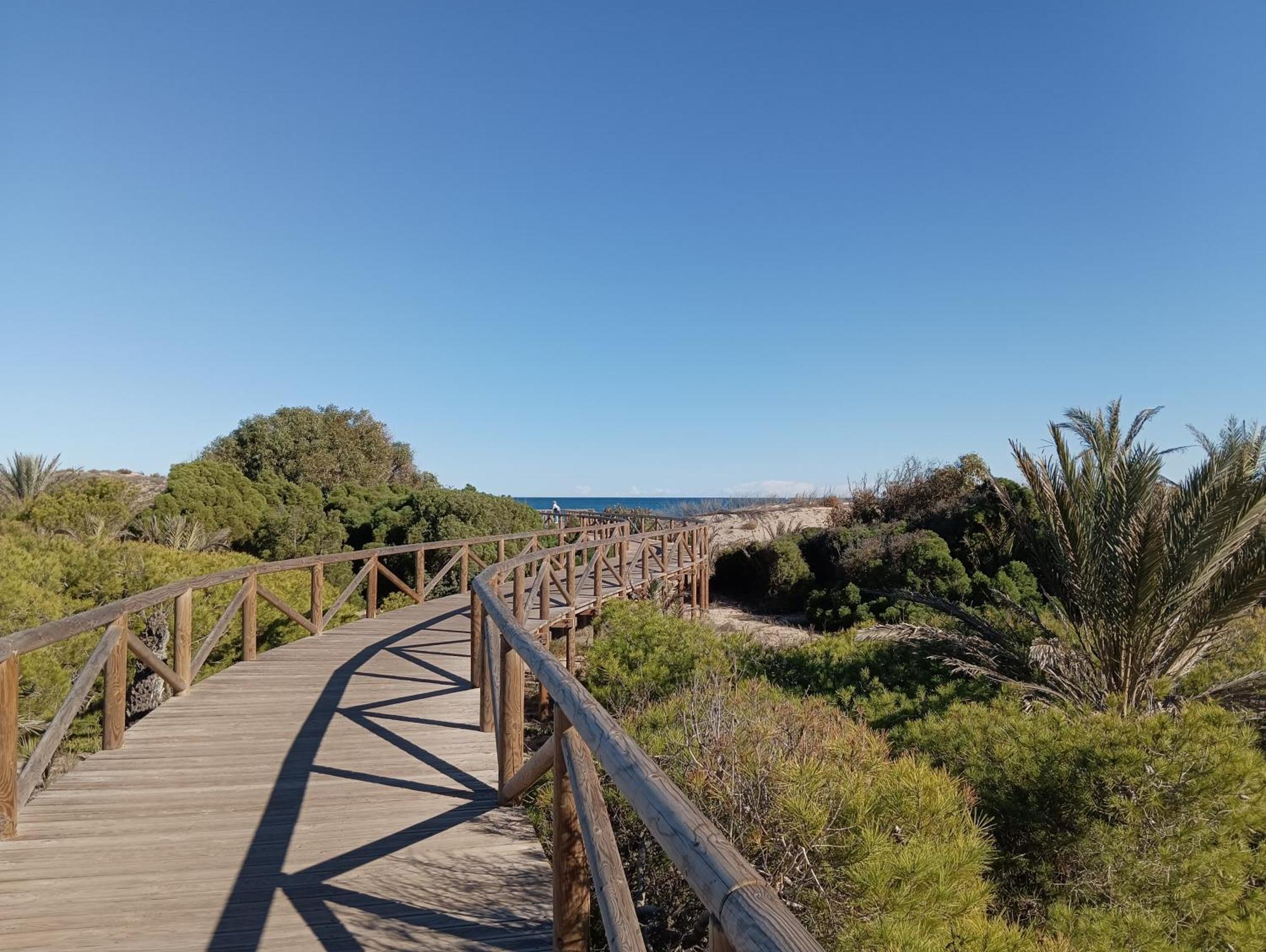 Bonito Apartamento 150 M De La Playa La Mata La Mata (Torrevieja) Exterior foto