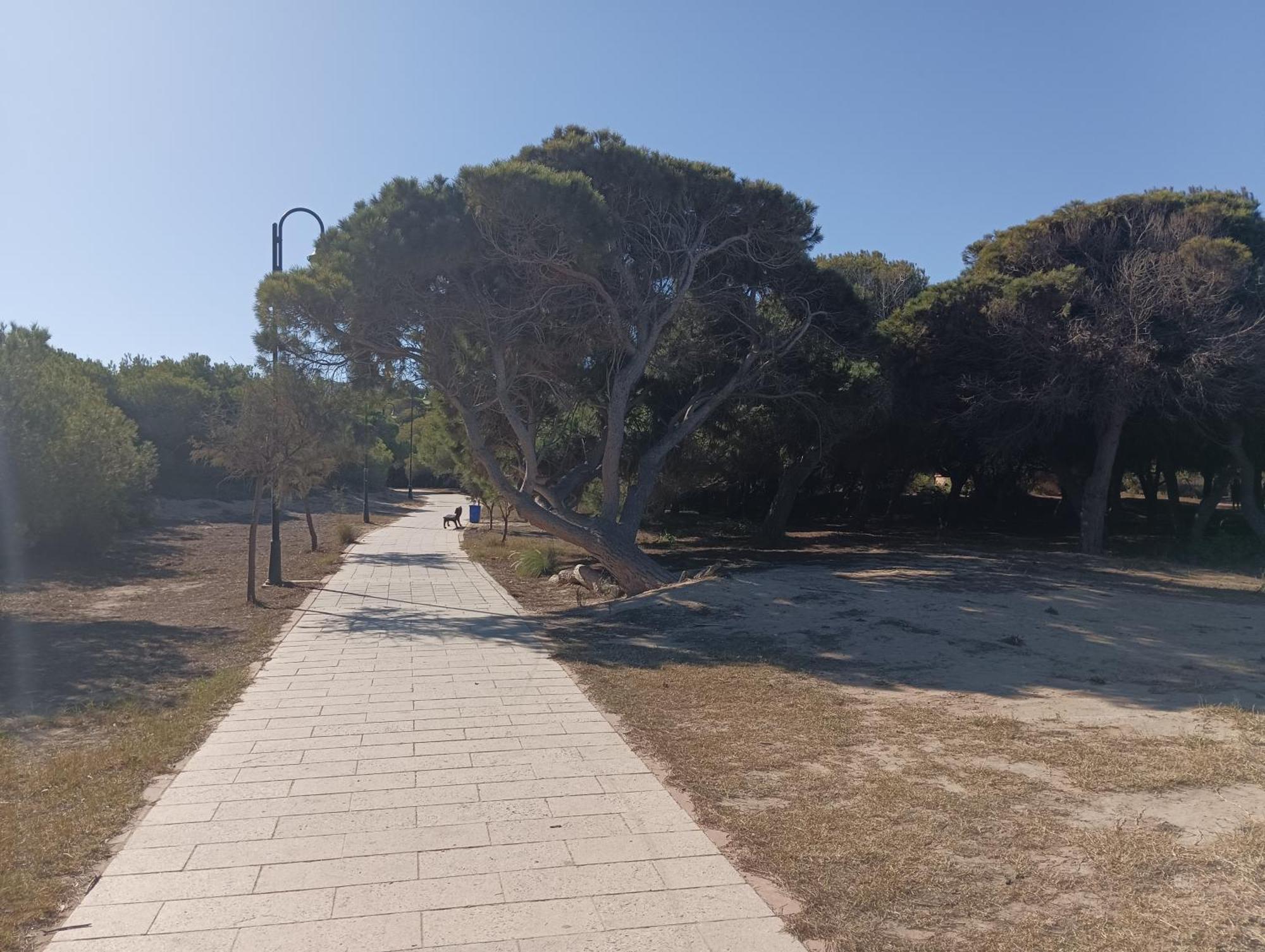 Bonito Apartamento 150 M De La Playa La Mata La Mata (Torrevieja) Exterior foto